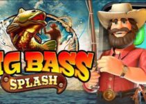 Big Bass Splash