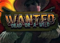 Wanted Dead Or A Wild